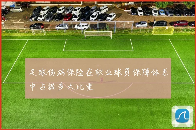 足球伤病保险在职业球员保障体系中占据多大比重